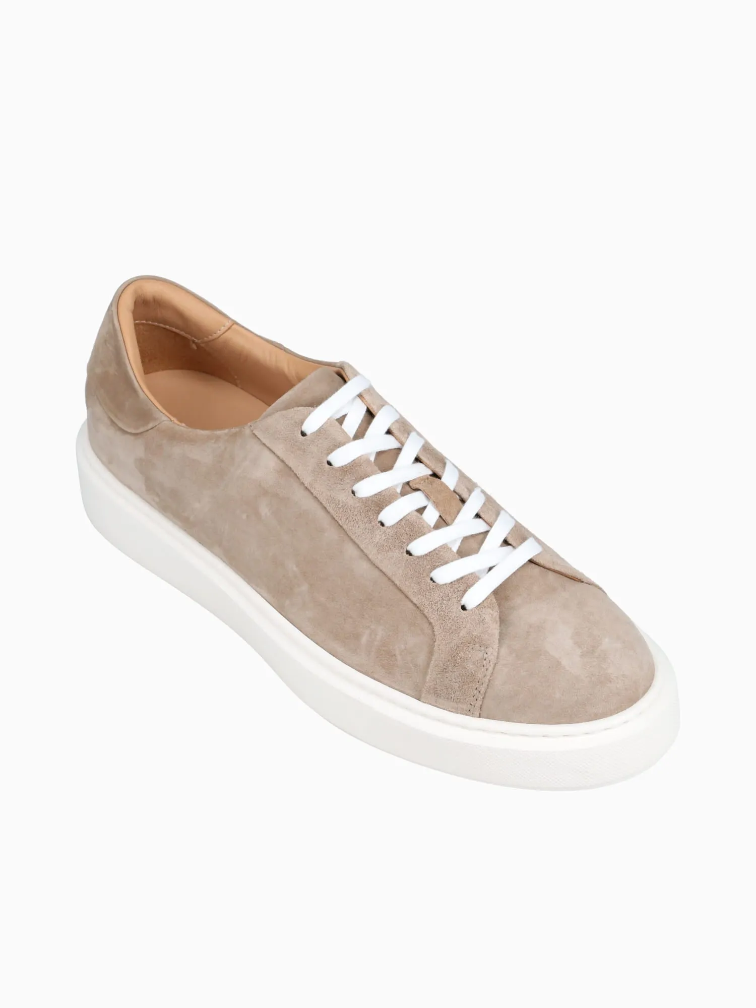 Barolo Sneaker Taupe Water Suede